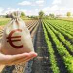 La Junta ampliará las ayudas a la ganadería extensiva con 22 millones más La Junta ampliará las ayudas a la ganadería extensiva con 22 millones más