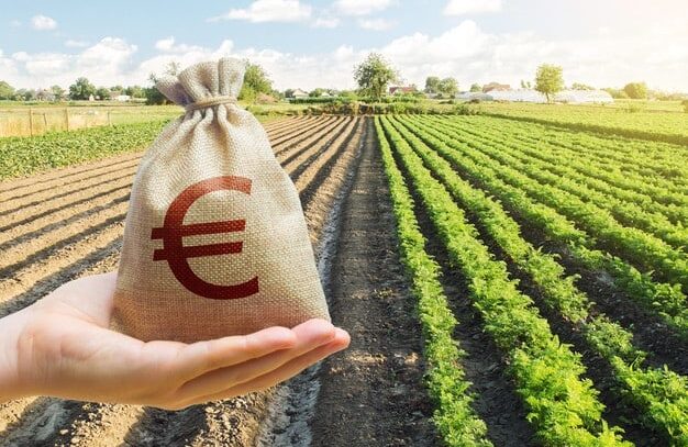 La Junta ampliará las ayudas a la ganadería extensiva con 22 millones más